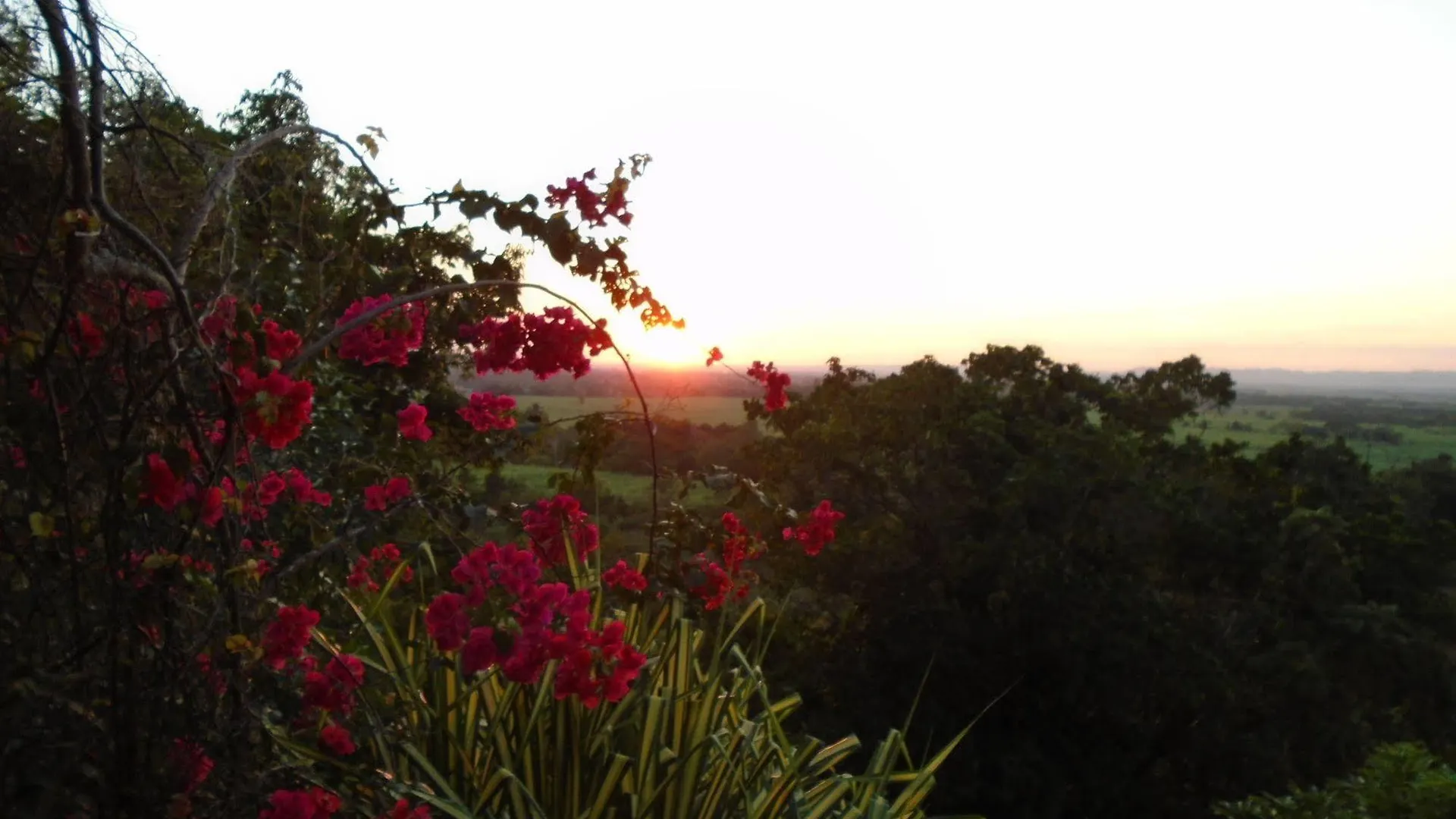 Sunset Heal Jamaica Hotel Caledonia